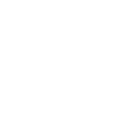 ce logo Strasbourg