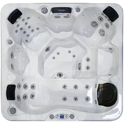 Avalon EC-849L hot tubs for sale in Strasbourg