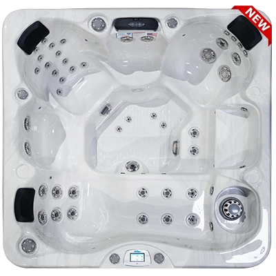 Avalon-X EC-849LX hot tubs for sale in Strasbourg